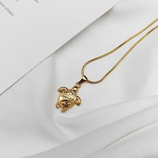 Collar con Colgante de Tortuga 